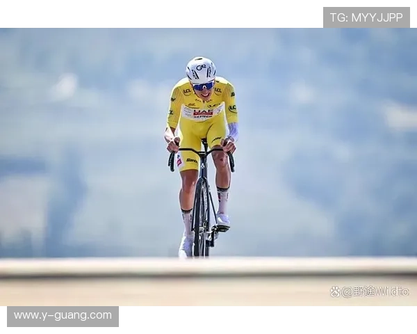 波加查黄毛造型四夺白石赛